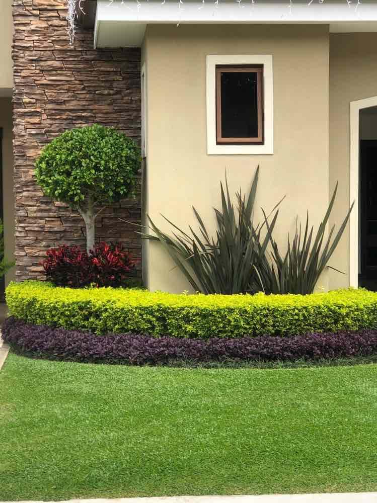 Arte y Jardín image 1
