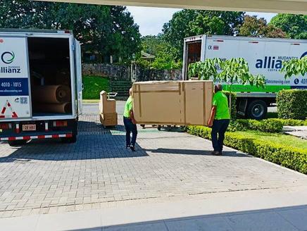 Allianz Moving image 1